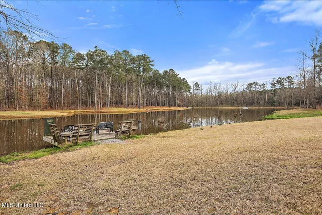 $1,150,000 | 1548 Highway 43, Pelahatchie, MS 39145