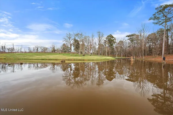 $999,900 | 1548 Highway 43, Pelahatchie, MS 39145