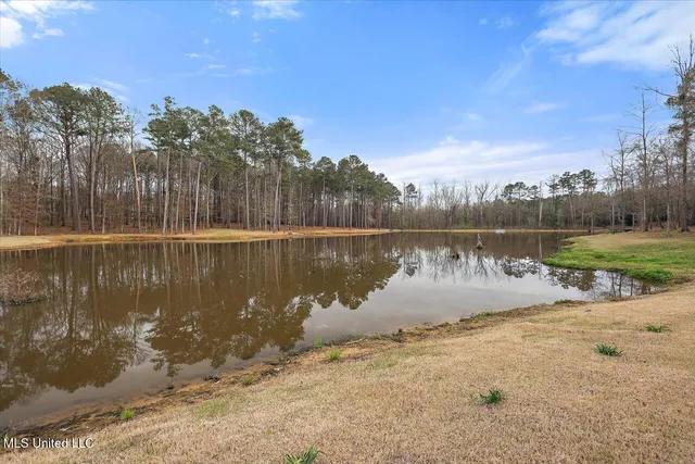 $1,150,000 | 1548 Highway 43, Pelahatchie, MS 39145