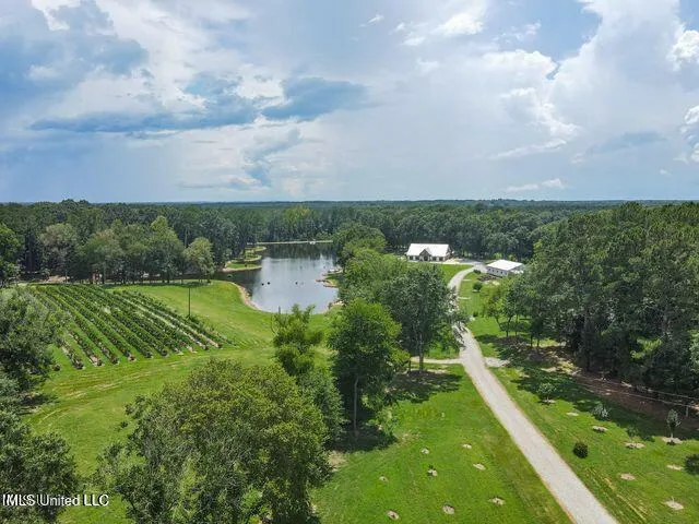 $1,150,000 | 1548 Highway 43, Pelahatchie, MS 39145