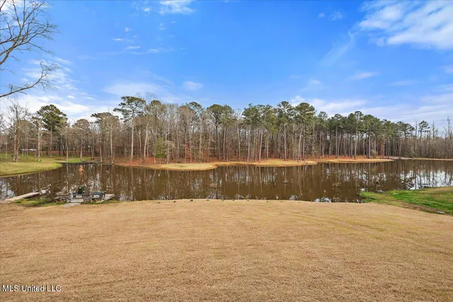 $1,150,000 | 1548 Highway 43, Pelahatchie, MS 39145