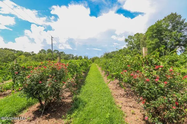 $999,900 | 1548 Highway 43, Pelahatchie, MS 39145