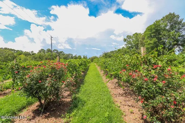 $1,150,000 | 1548 Highway 43, Pelahatchie, MS 39145