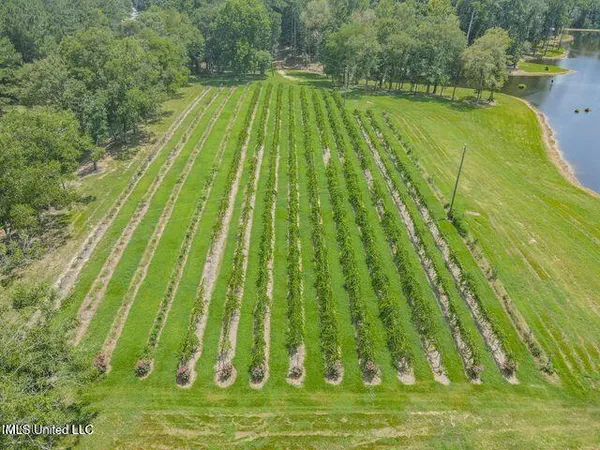 $999,900 | 1548 Highway 43, Pelahatchie, MS 39145