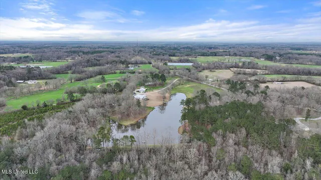 $1,150,000 | 1548 Highway 43, Pelahatchie, MS 39145