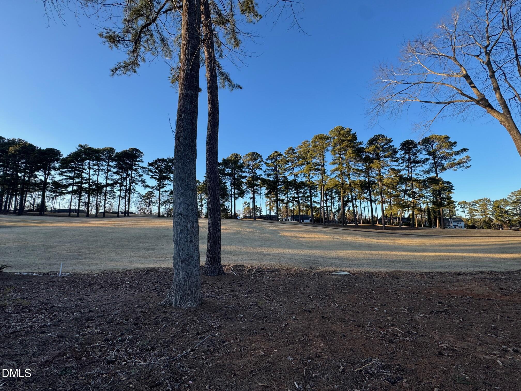 7117 North Ridge Drive Raleigh, NC 27615 - Photo 16 of 23 Golf Course View