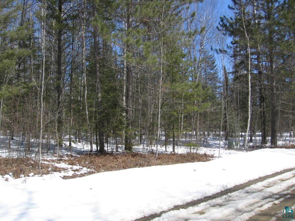 Tbd Ernie's Road Ely, MN 55731 - Photo 7 of 14