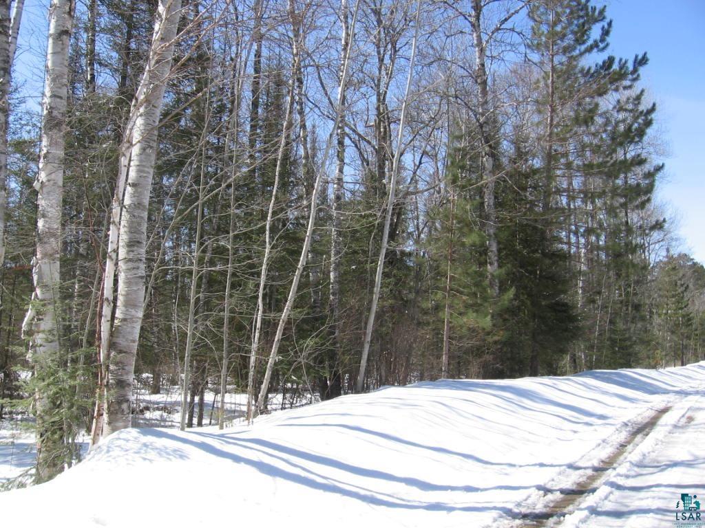 Tbd Ernie's Road Ely, MN 55731 - Photo 8 of 14