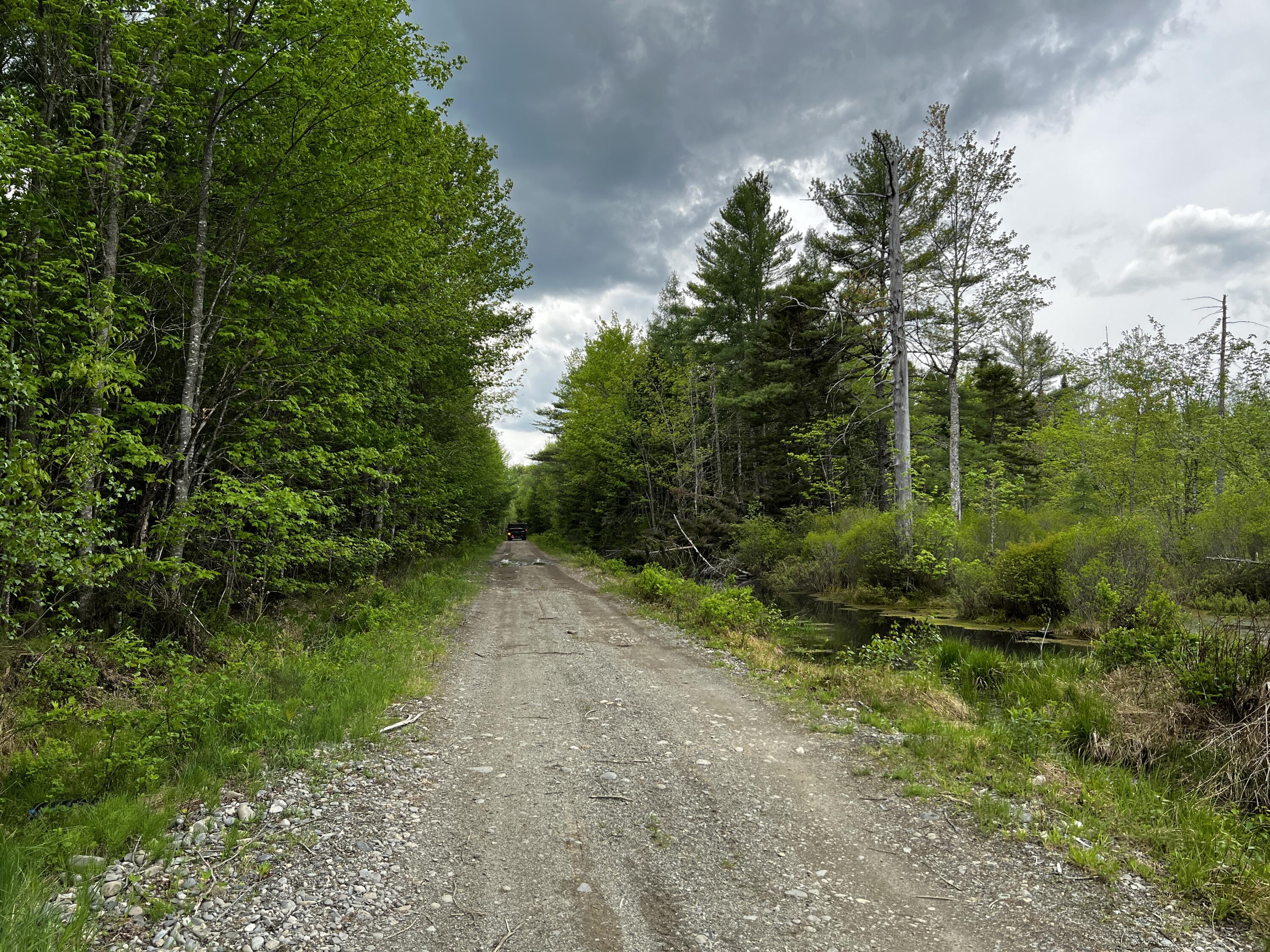 Lot 6 Emery Farm Road Medford, ME 04463 - Photo 15 of 27 IMG_4238