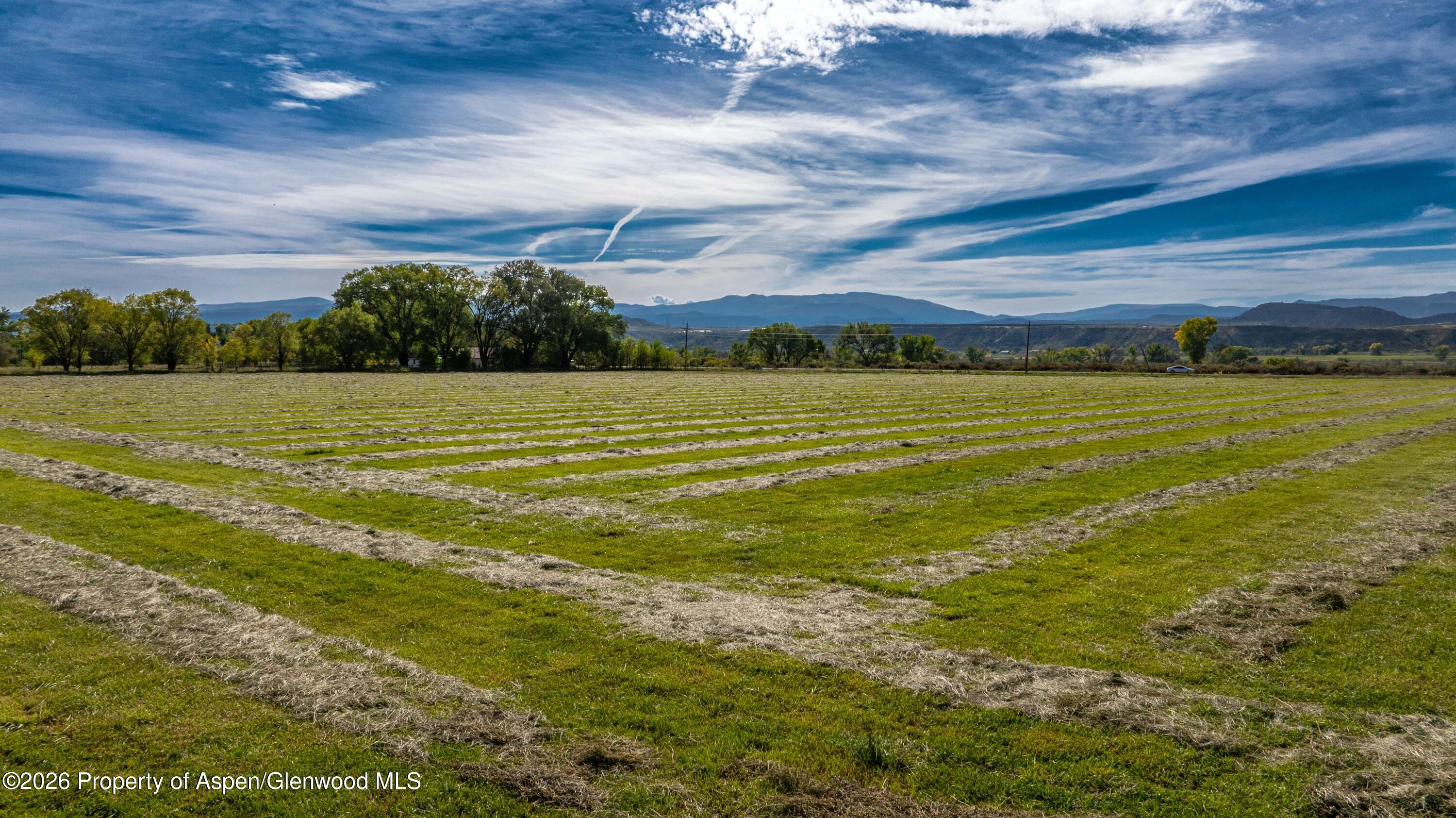 30239 Highway 6 Rifle, CO 81650 - Photo 14 of 25 7