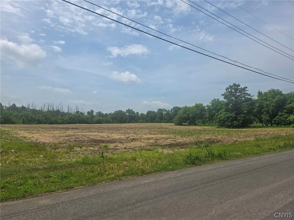 0 Hoag Road Rome, NY 13440 - Photo 5 of 5