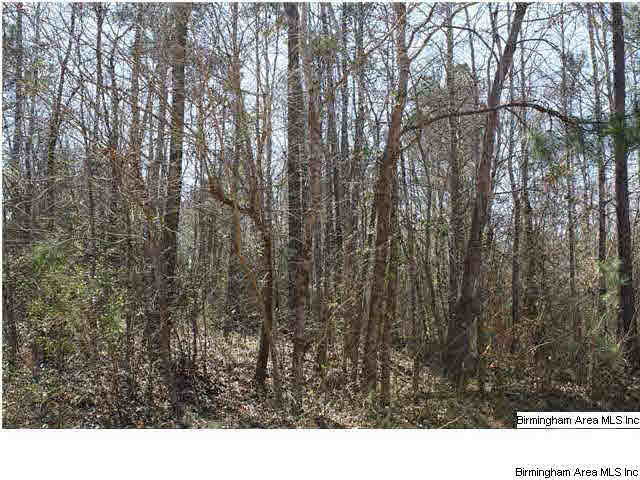 46 Highway, Unit 11 Shelby, AL 35143 - Photo 1 of 1