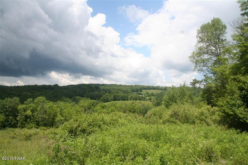 Creek Road Pleasant Mount, PA 18453 - Photo 2 of 9