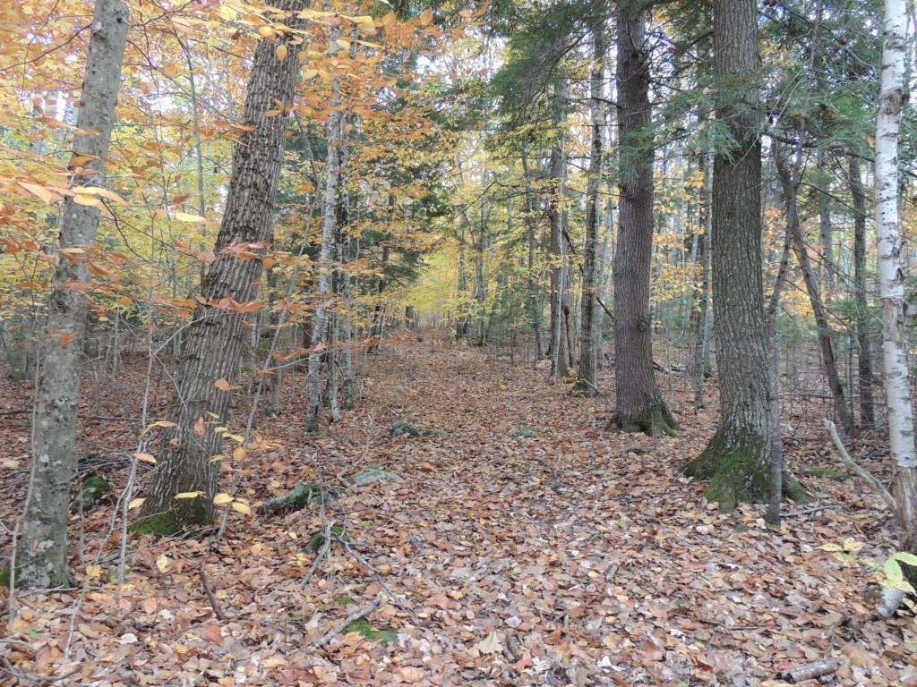 442 Molyneaux Road Camden, ME 04843 - Photo 11 of 11 Photo