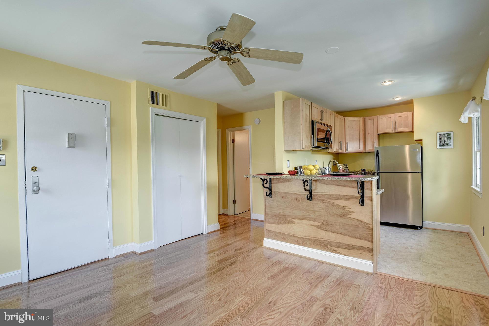 243 10th Street Southeast, Unit 5 Washington, DC 20003 - Photo 11 of 29 Living Room