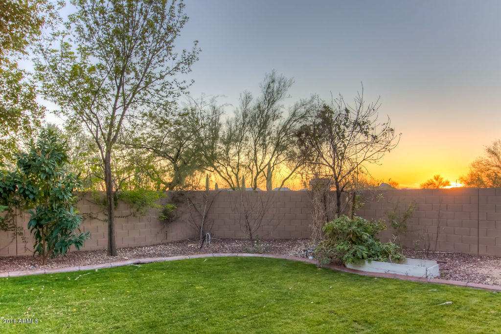 2129 West Apache Rain Road Phoenix, AZ 85085 - Photo 36 of 50 Rear (5)-SMALL