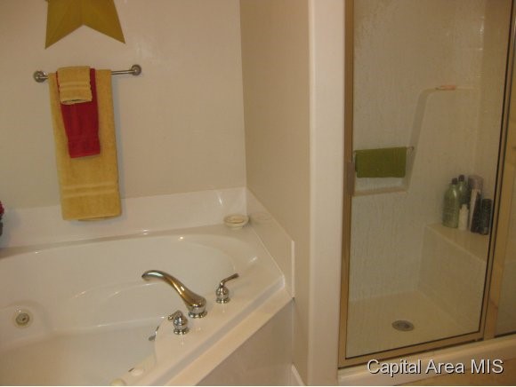 1 Elwin Court Rochester, IL 62563 - Photo 12 of 24
