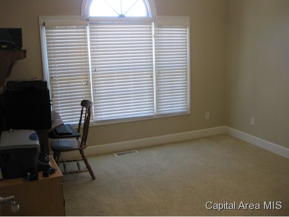 1 Elwin Court Rochester, IL 62563 - Photo 13 of 24