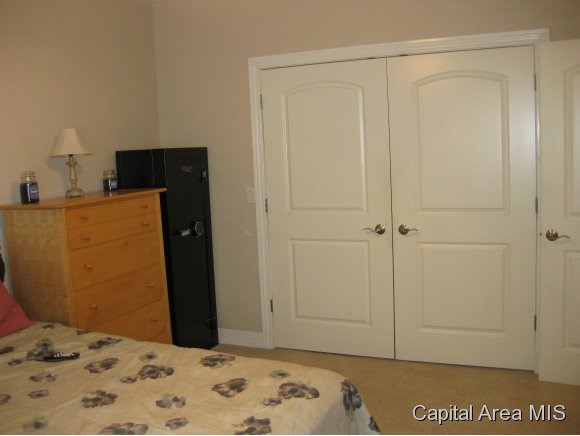 1 Elwin Court Rochester, IL 62563 - Photo 16 of 24
