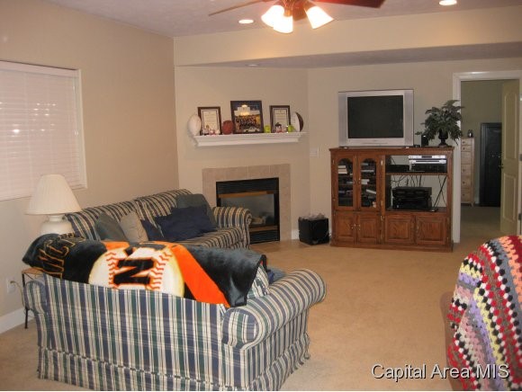 1 Elwin Court Rochester, IL 62563 - Photo 21 of 24