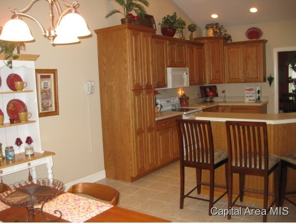1 Elwin Court Rochester, IL 62563 - Photo 4 of 24