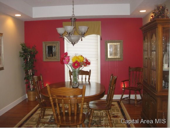 1 Elwin Court Rochester, IL 62563 - Photo 9 of 24