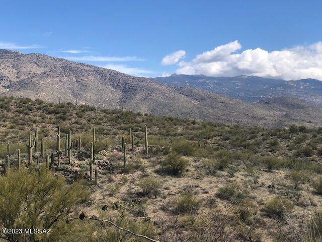 East Rincon Creek Ranch Road, Unit D Tucson, AZ 85747 - Photo 2 of 12 Gallery Image 2