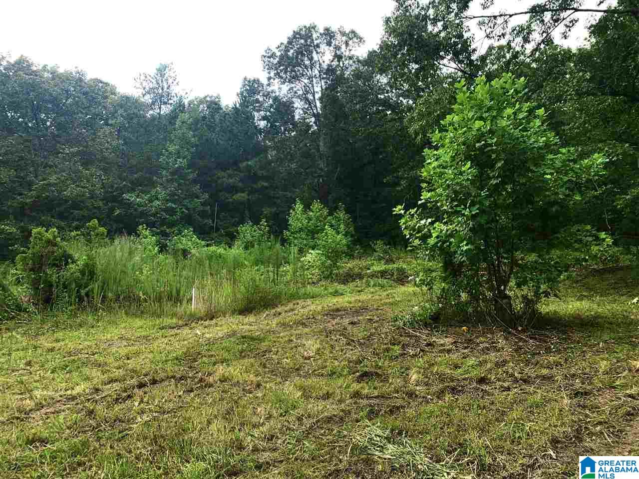 20855 Highway 11 Steele, AL 35987 - Photo 2 of 10