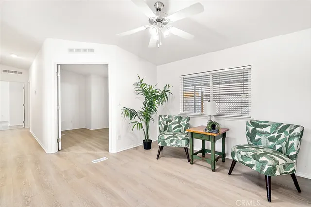 a living room with furniture and a potted plant