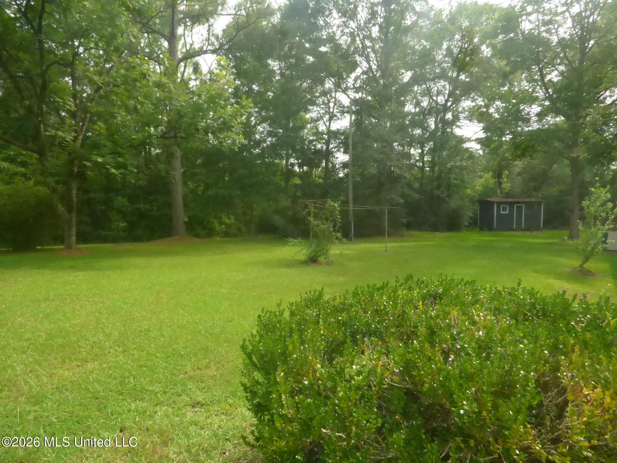 3739 Kahnville Road Gloster, MS 39638 - Photo 2 of 22 P1350776