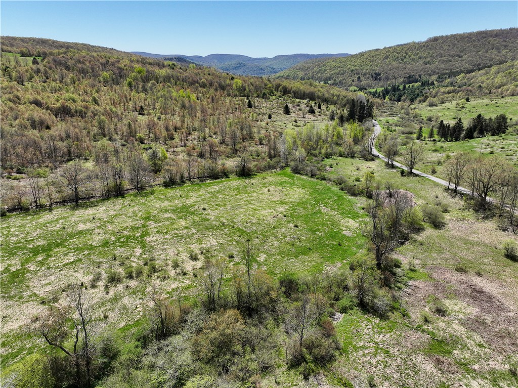 0 Chambers Hollow Road Walton, NY 13856 - Photo 1 of 1 Gallery Image 1