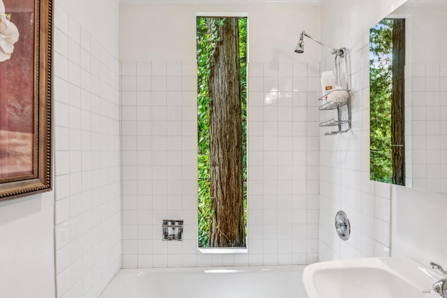 602 Ralston Avenue Mill Valley, CA 94941 - Photo 30 of 44
