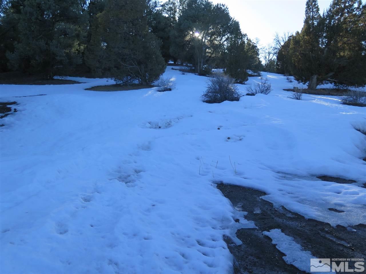 21779 Sullivan Road, Unit 87 Reno, NV 89521 - Photo 12 of 37 Photo 12