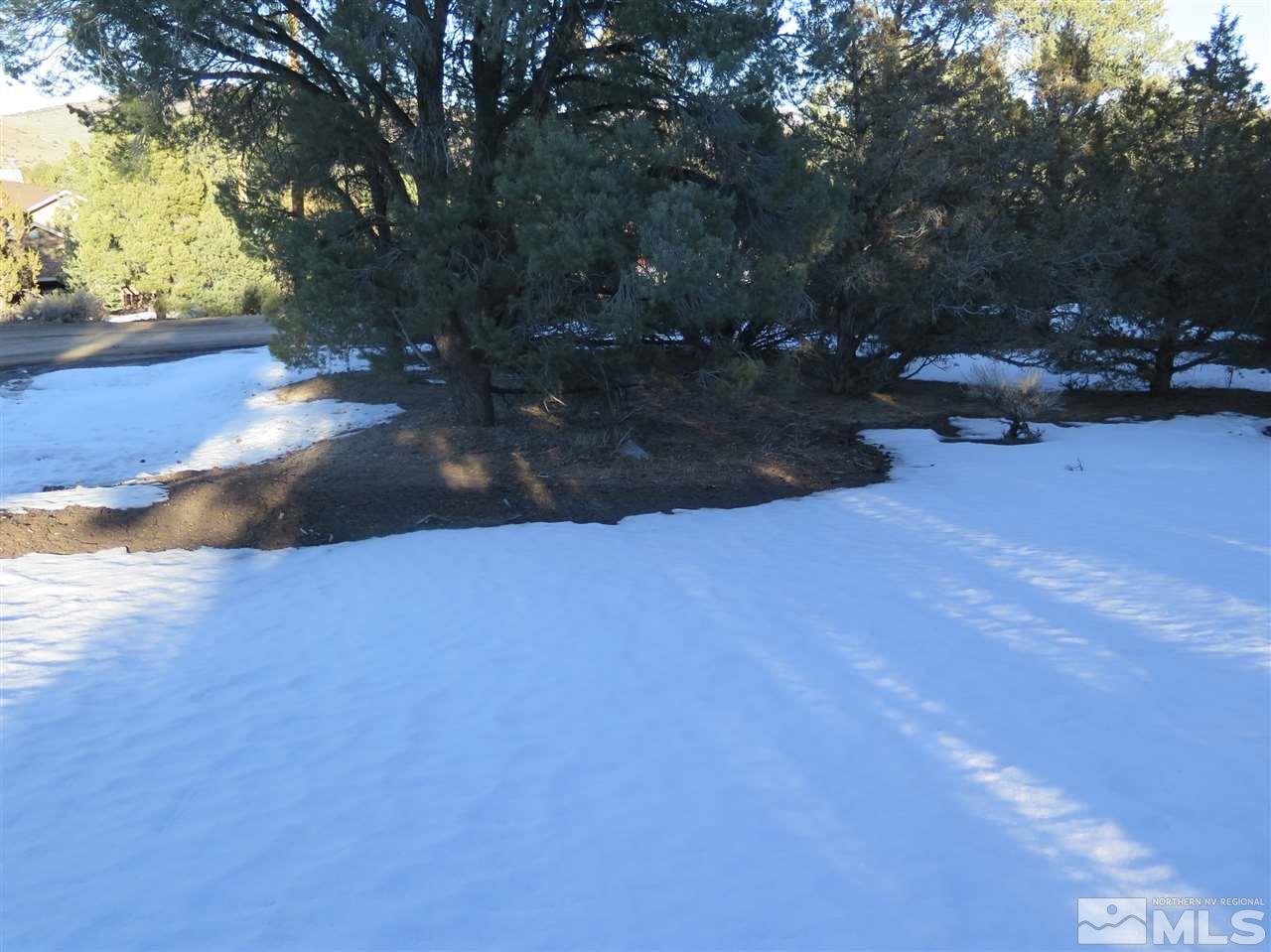 21779 Sullivan Road, Unit 87 Reno, NV 89521 - Photo 23 of 37 Photo 24