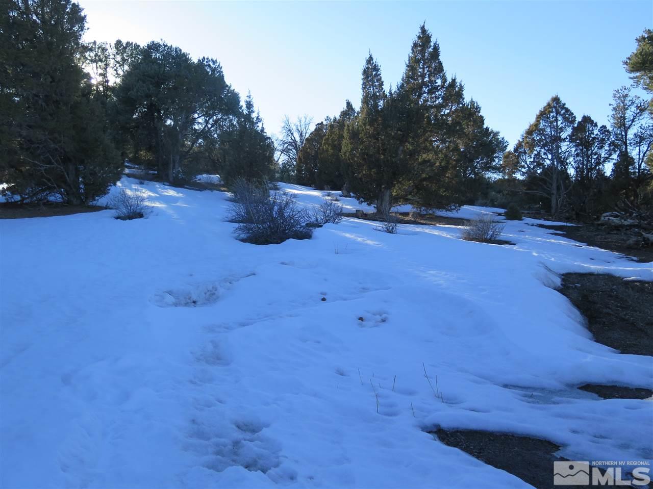 21779 Sullivan Road, Unit 87 Reno, NV 89521 - Photo 3 of 37 Photo 3