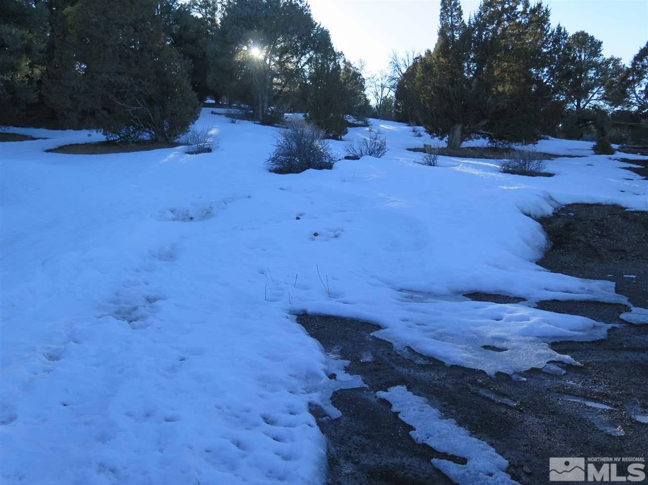 21779 Sullivan Road, Unit 87 Reno, NV 89521 - Photo 33 of 37 Photo 34