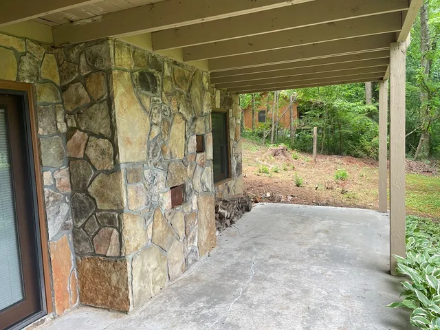 a view of a big yard with plants and large trees