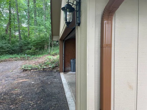 a view of a yard with a tree
