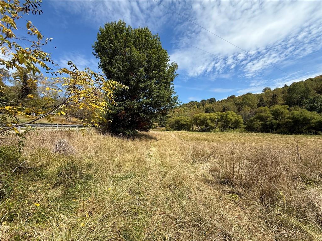 178 Havers Hill Road Jefferson, PA 15344 - Photo 2 of 9 a view of a yard