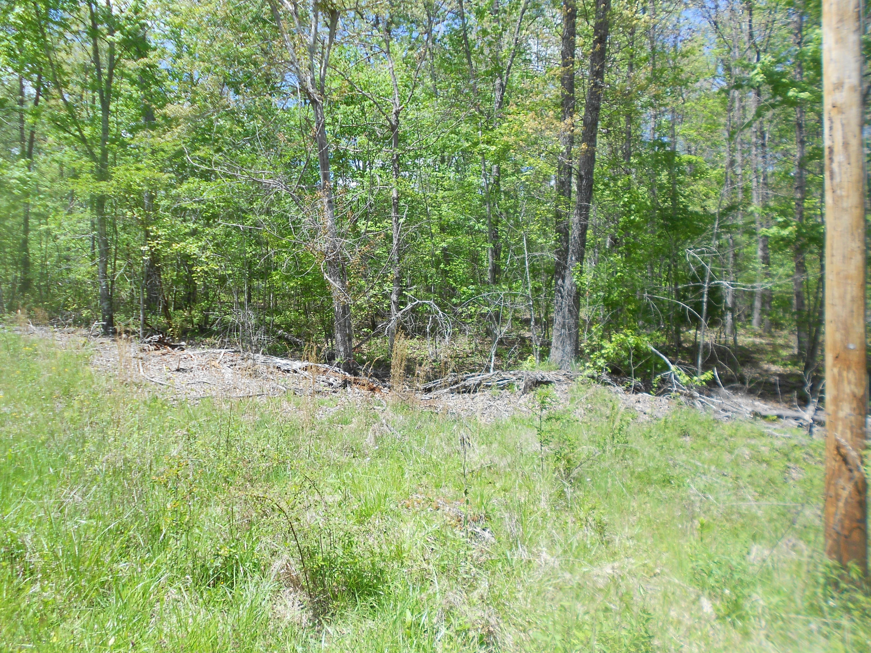 4117 Sioux Road Crossville, TN 38572 - Photo 1 of 1 DSCN2417