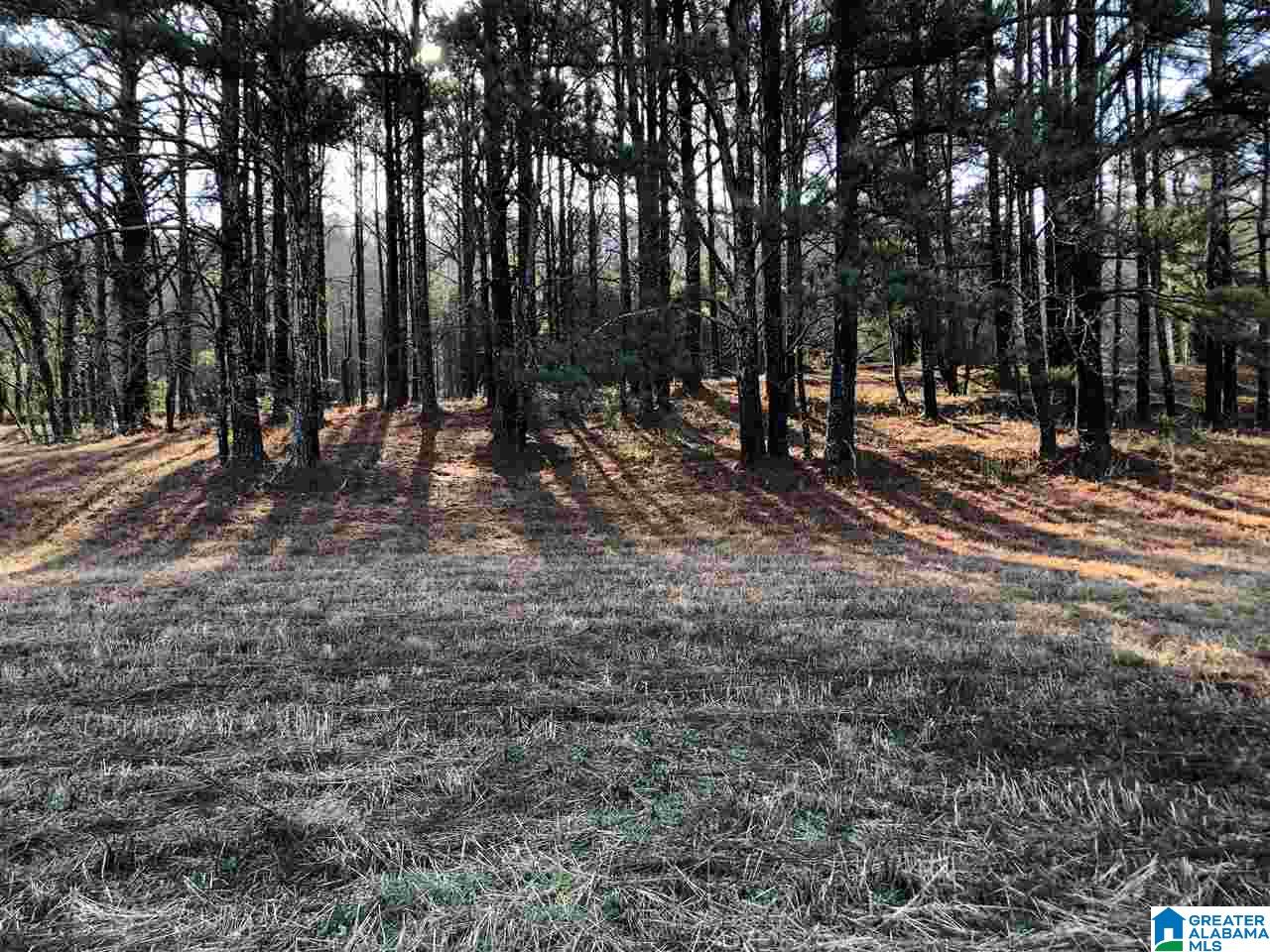 7950 Happy Hollow Road, Unit 2 Trussville, AL 35173 - Photo 3 of 12