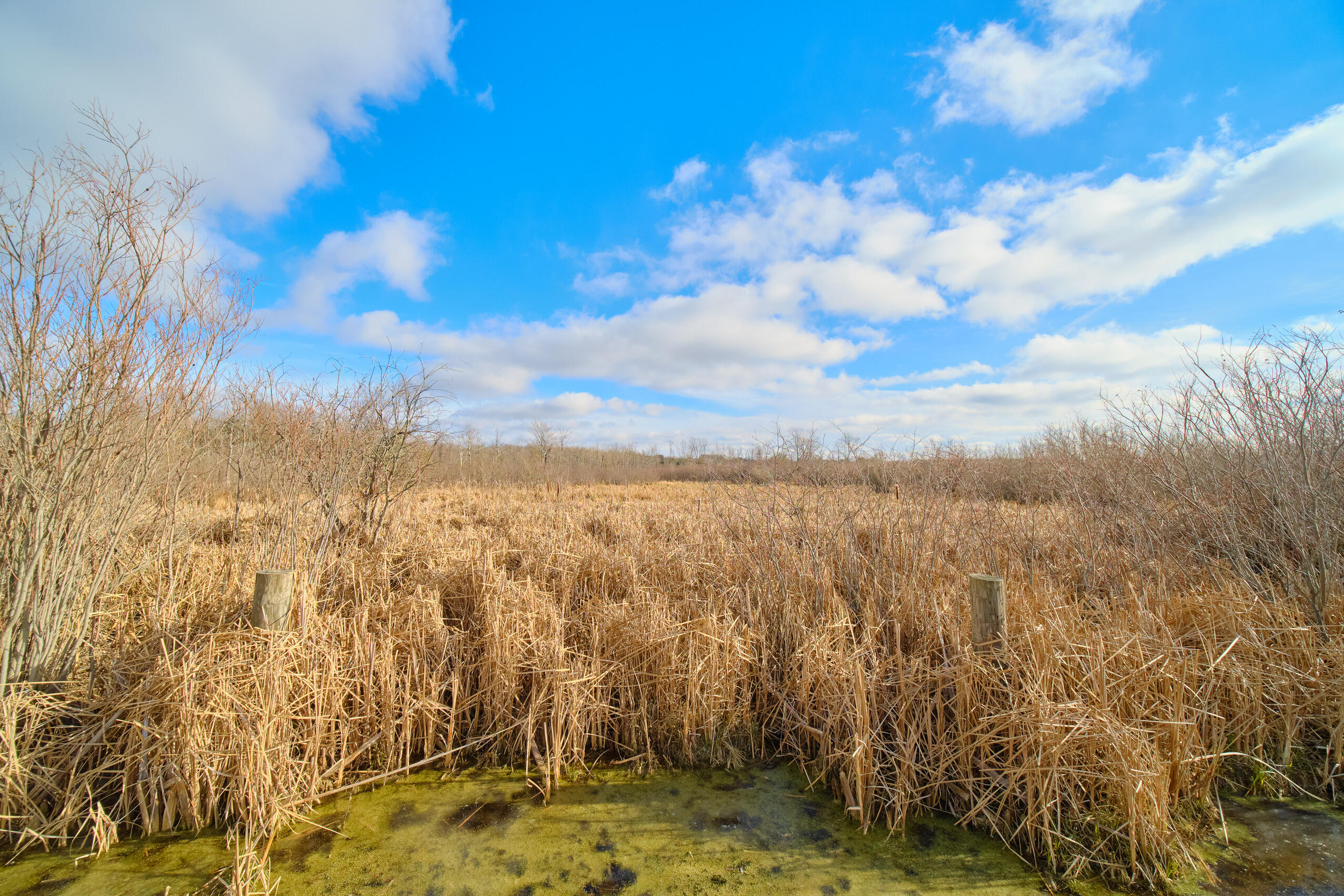 Bentoski Road Manistee, MI 49660 - Photo 16 of 29 Bar_Lake_Rd-10