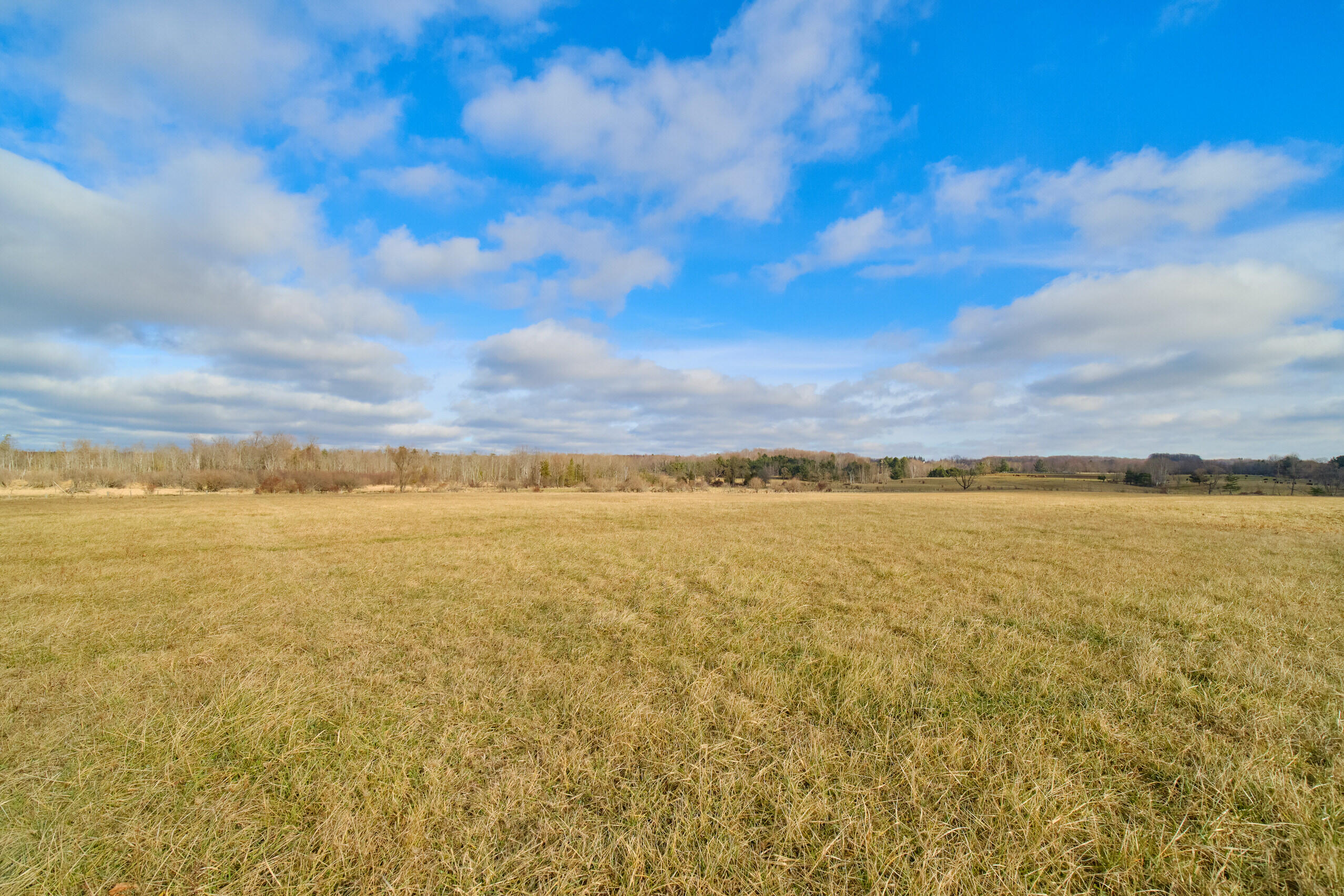 Bentoski Road Manistee, MI 49660 - Photo 8 of 29 Bar_Lake_Rd-02
