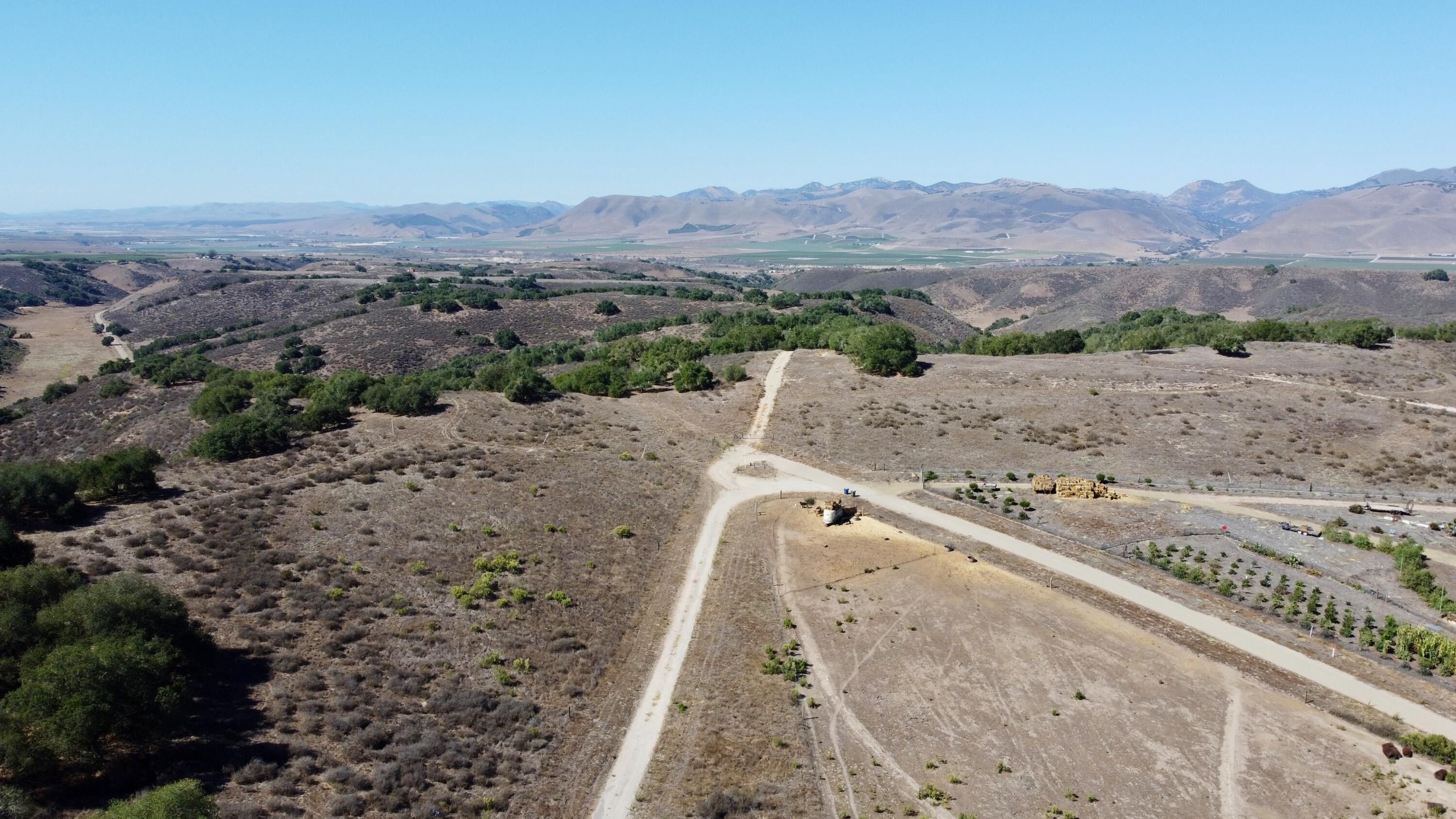 0 Long Canyon Road Santa Maria, CA 93454 - Photo 16 of 20 a view of a dry yard with mountain and trees
