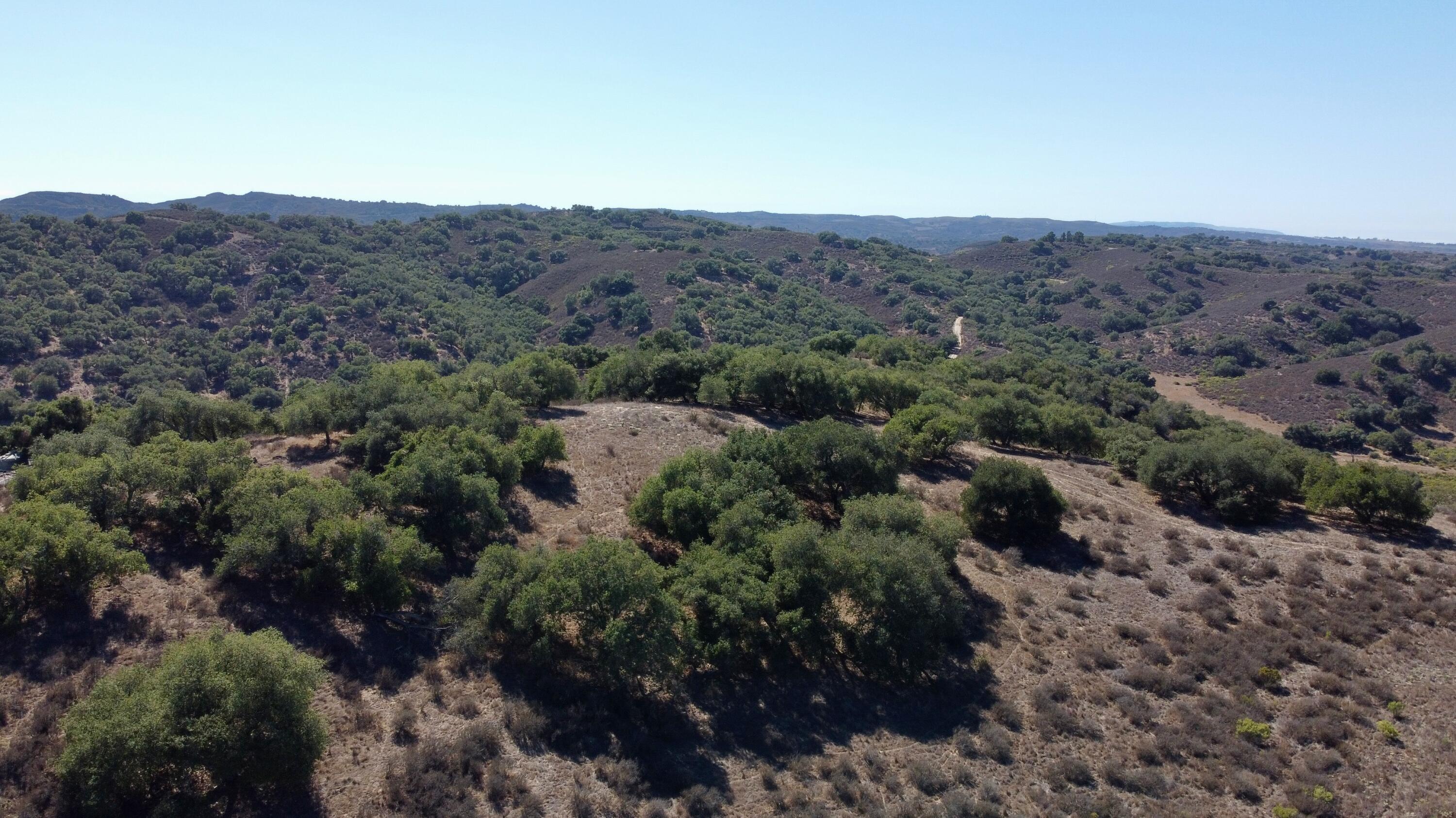0 Long Canyon Road Santa Maria, CA 93454 - Photo 18 of 20 an aerial view of mountain and tree