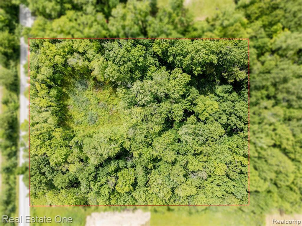 9682 Marquette Road Goodells, MI 48027 - Photo 4 of 13