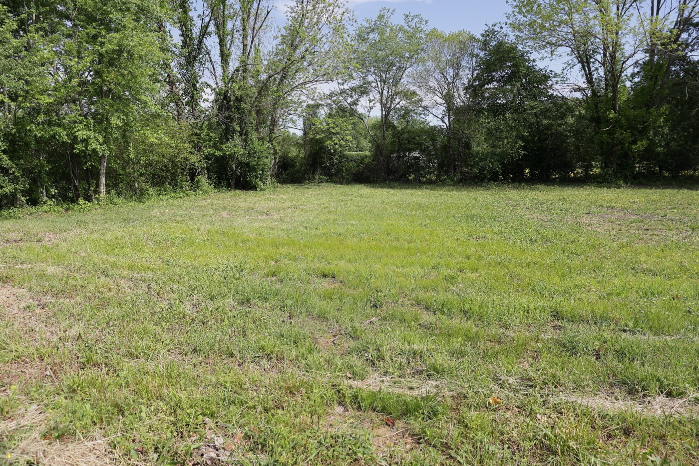 1305 Capshaw Road Smithville, TN 37166 - Photo 13 of 17 Gallery Image 13