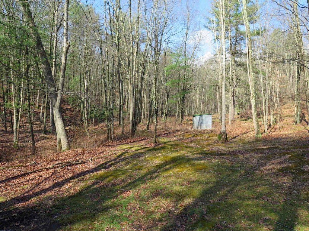 6787 Coder Road Huntingdon, PA 16652 - Photo 18 of 48 Gallery Image 18