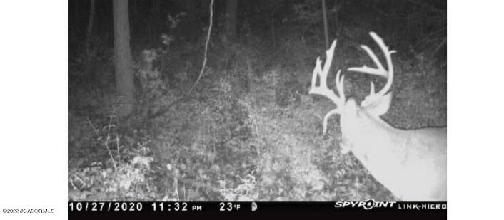 Tbd Campbell Road Green Ridge, MO 65332 - Photo 31 of 35