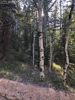 235 Pinewood Road Florissant, CO 80816 - Photo 21 of 21
